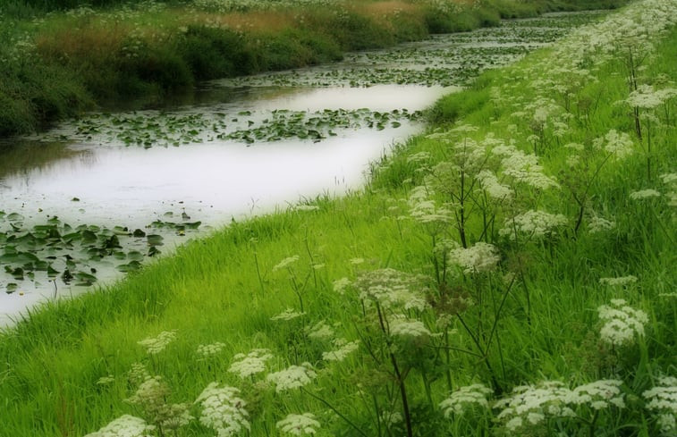 Natuurhuisje in Nieuw-Schoonebeek