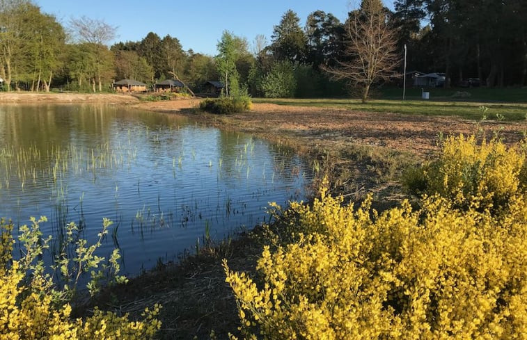 Natuurhuisje in Westerbork