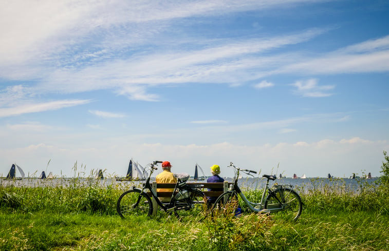 Natuurhuisje in Woudsend