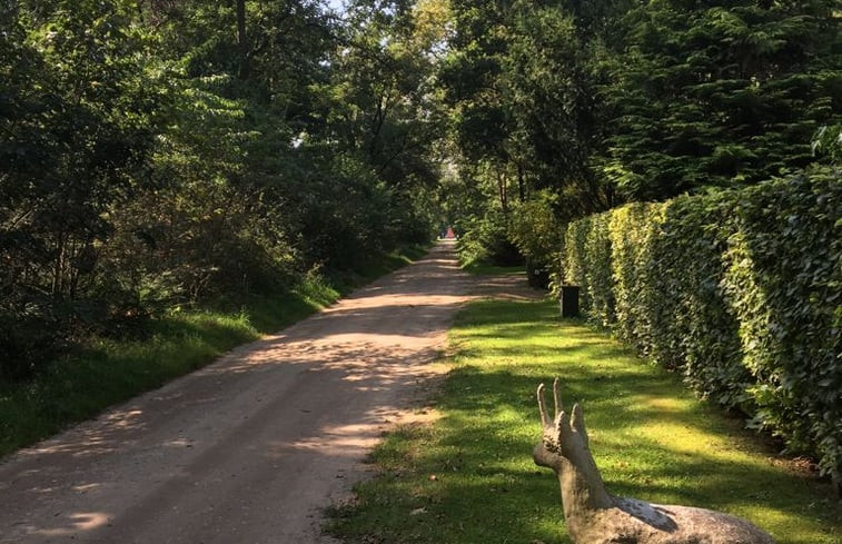 Natuurhuisje in Emst