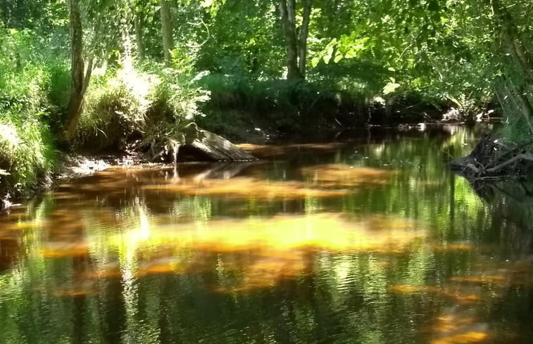 Natuurhuisje in Busserolles