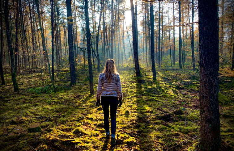 Natuurhuisje in Putten