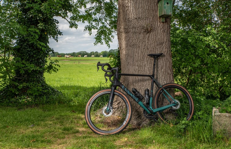 Natuurhuisje in Beuningen