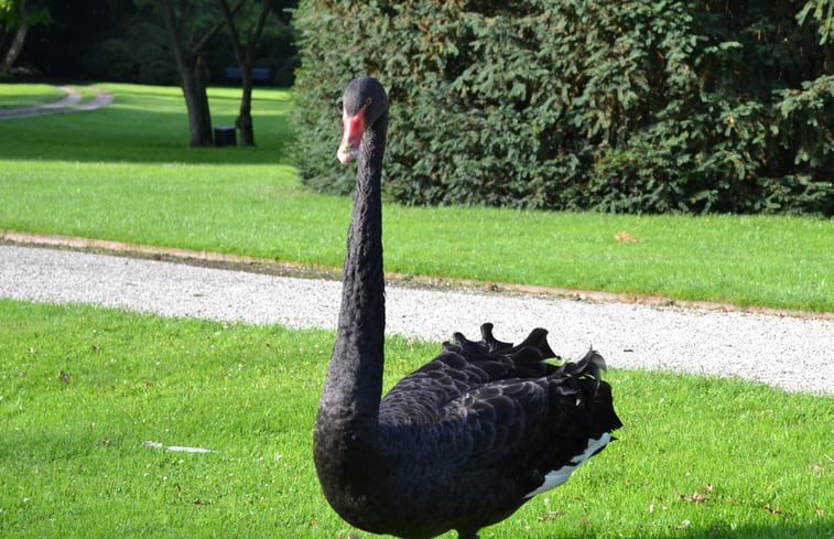 Natuurhuisje in Terwolde