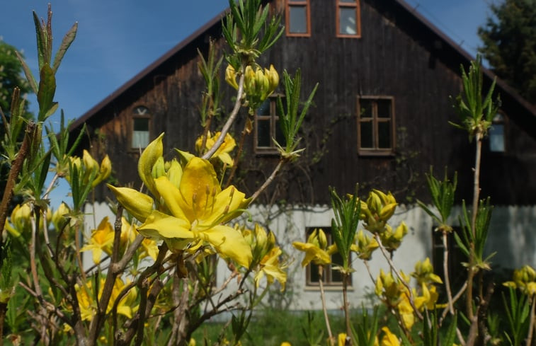 Natuurhuisje in Marianówka