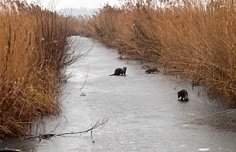 Natuurhuisje in Giethoorn