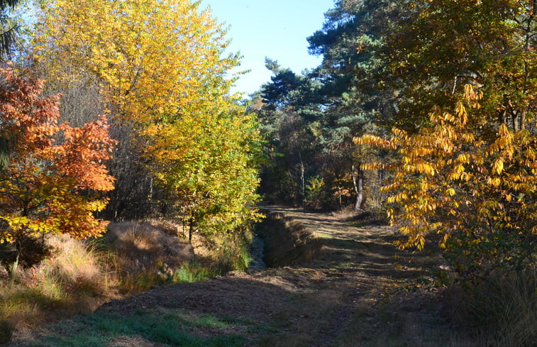 Natuurhuisje in Bergen LB