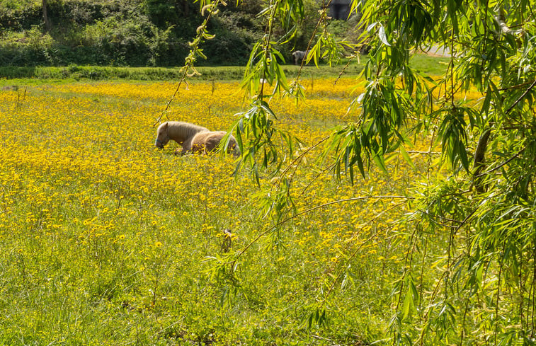 Natuurhuisje in Valadares, Vila Nova de Gaia