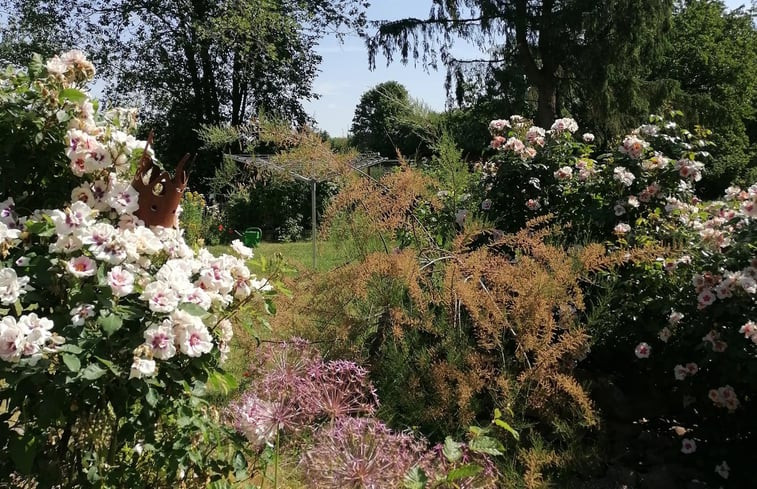 Natuurhuisje in Fürstenberg