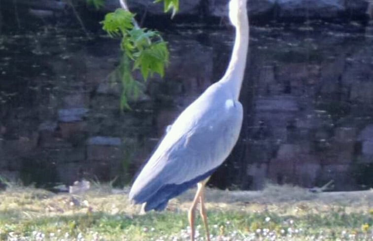 Natuurhuisje in castiglione del lago