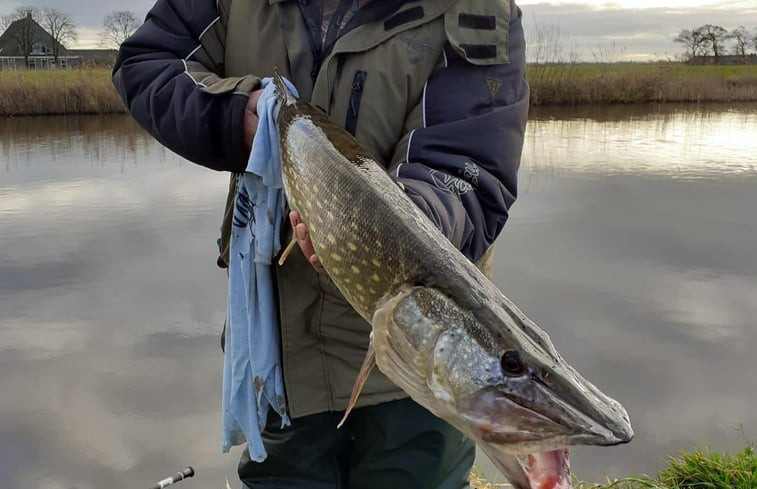 Natuurhuisje in Bartlehiem