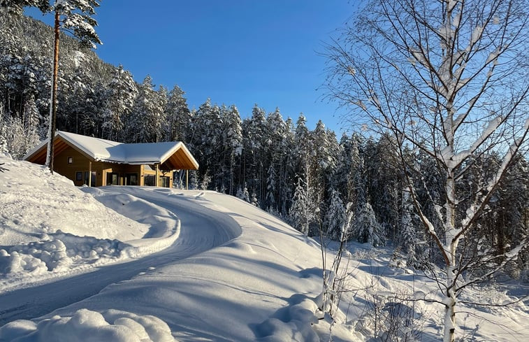 Natuurhuisje in Vrådal