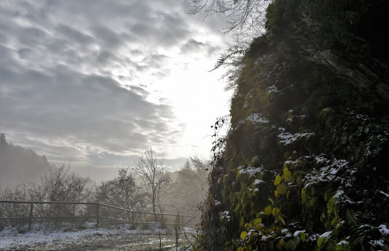 Natuurhuisje in Kollig