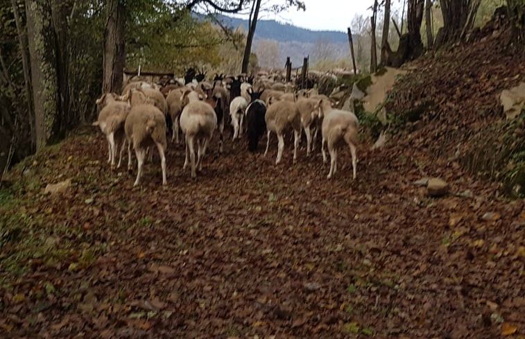 Natuurhuisje in Aleu