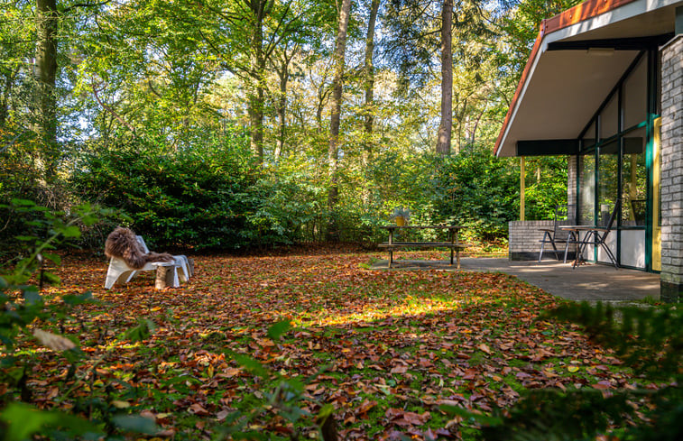 Natuurhuisje in Oudemirdum