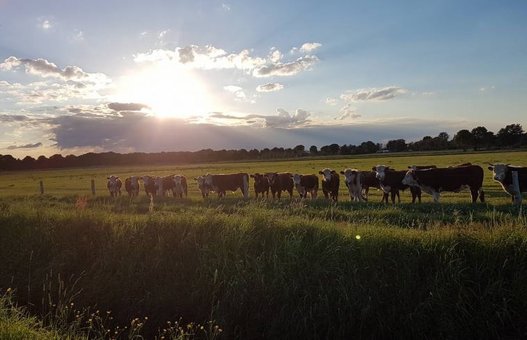 Natuurhuisje in Rijsbergen