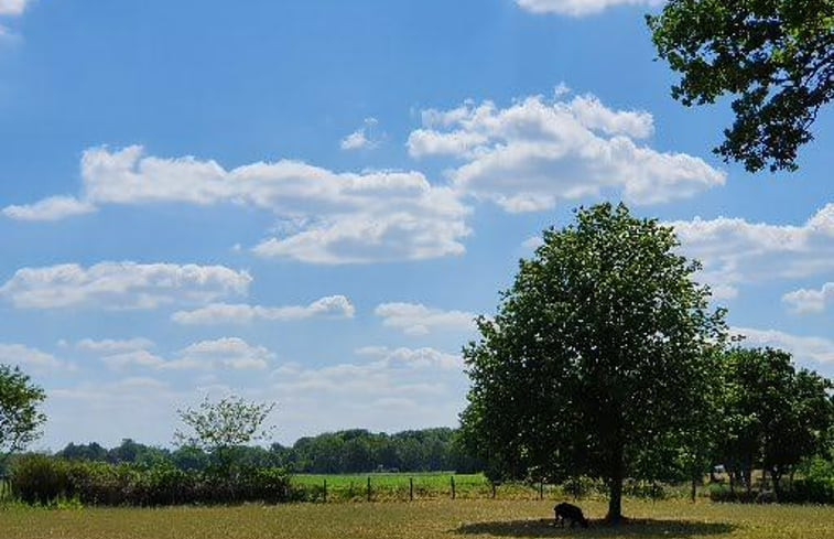 Natuurhuisje in Diever