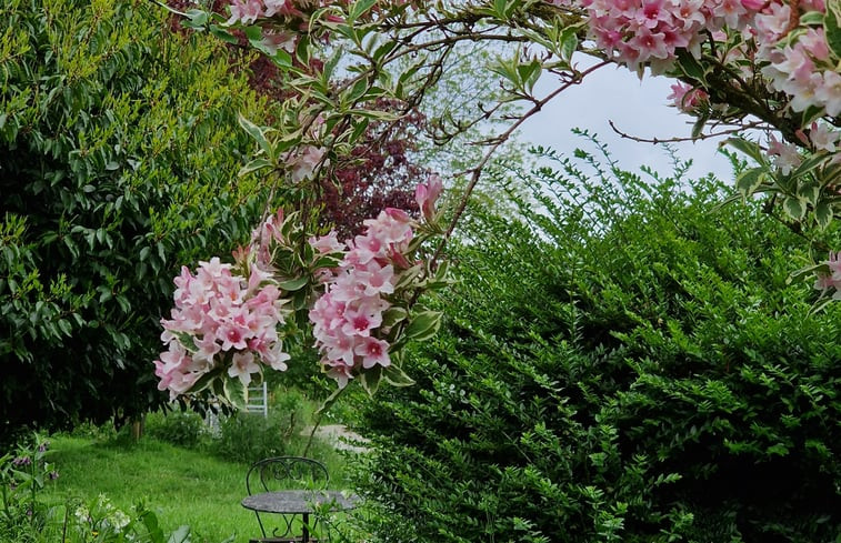 Natuurhuisje in Dreischor