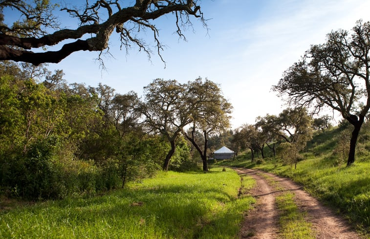 Natuurhuisje in São Luis