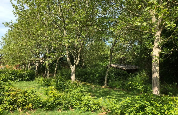 Natuurhuisje in Baexem - Limburg