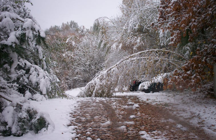 Natuurhuisje in Waldheim