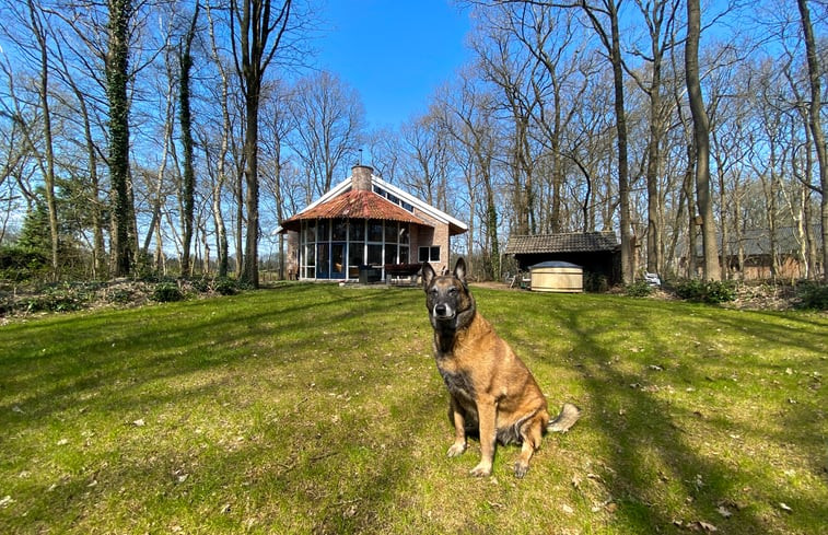 Natuurhuisje in wateren