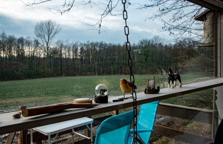 Natuurhuisje in De Lutte in Twente