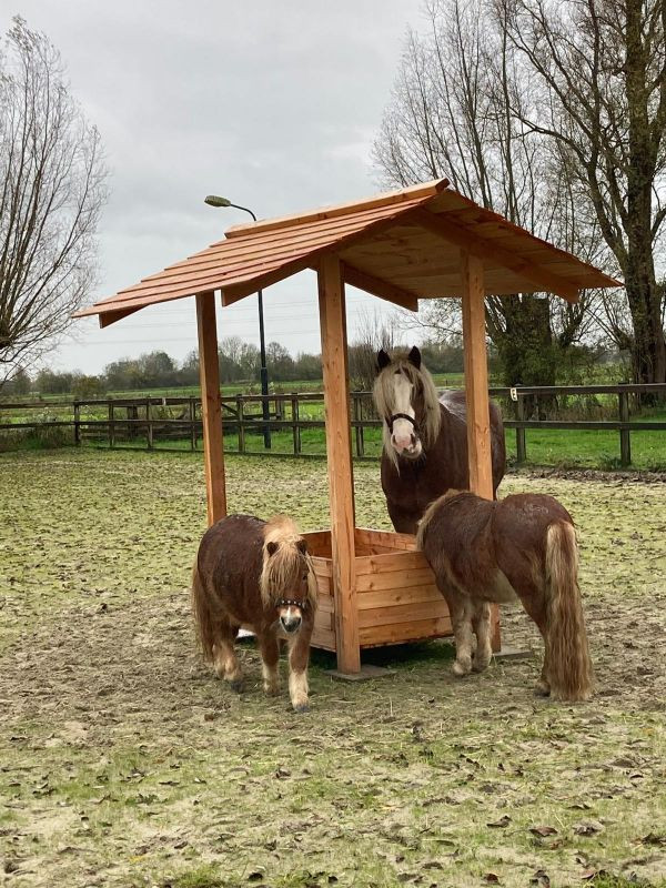 Hooiruif paarden met bak 256 hoog | Duurzaam Douglas hout Gemonteerd