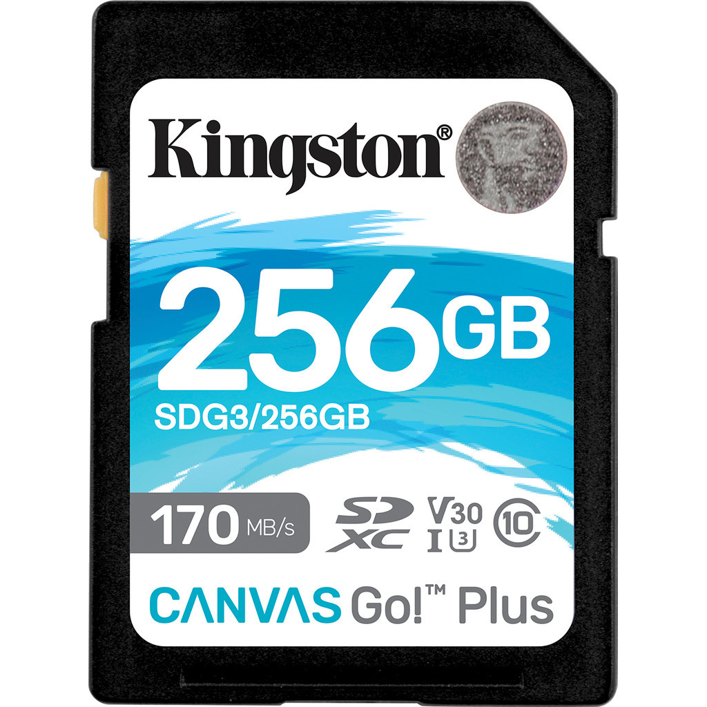 Kingston Canvas Go Plus 256GB