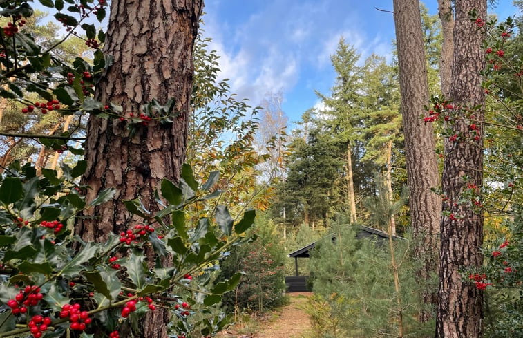 Natuurhuisje in Holten