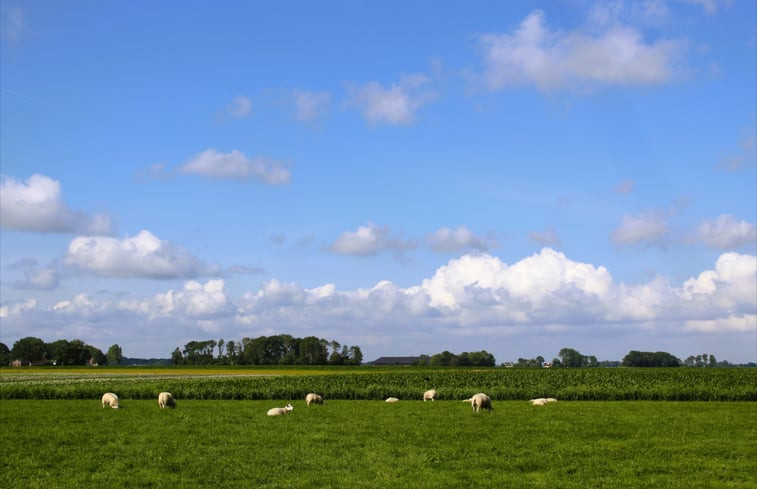 Natuurhuisje in Nijewier