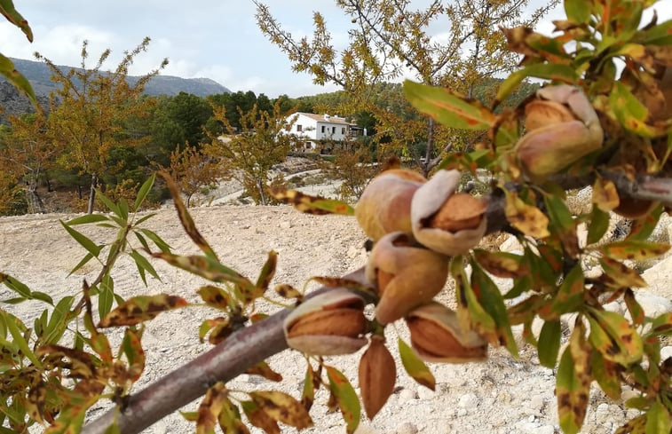 Natuurhuisje in Vélez-Blanco