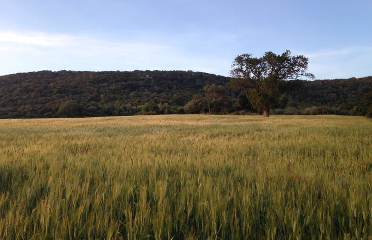 Natuurhuisje in Crispiano