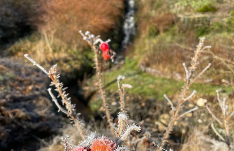 Natuurhuisje in sazeray