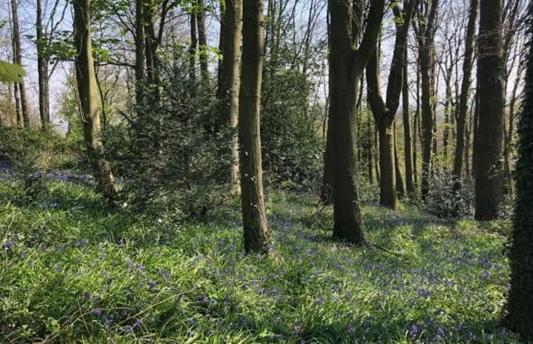 Natuurhuisje in Heuvelland