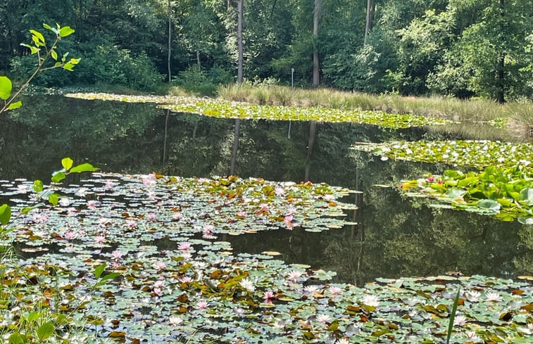 Natuurhuisje in Mander