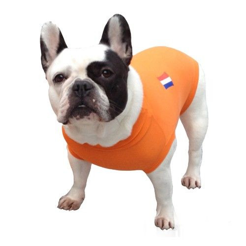 Medical Pet Shirt Hond Oranje S plus