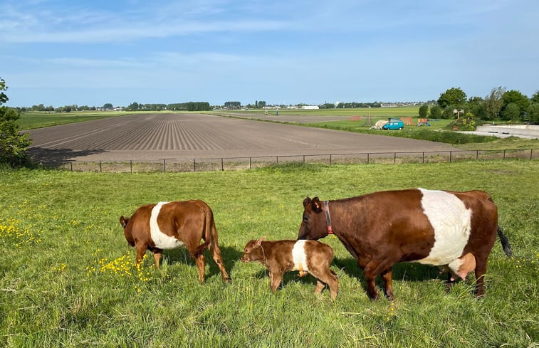 Natuurhuisje in Leimuiden