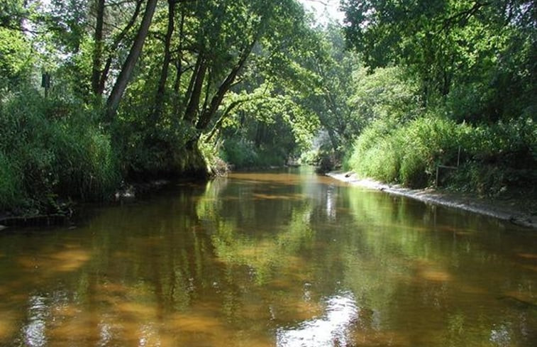 Natuurhuisje in de Lutte