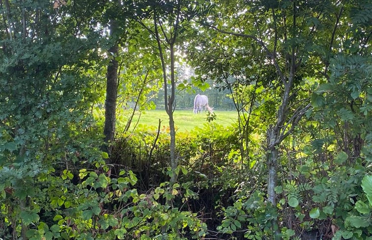 Natuurhuisje in Kollumerzwaag