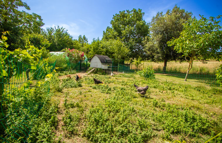 Natuurhuisje in Limoux