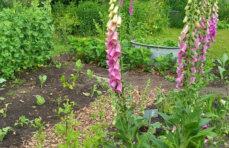 Natuurhuisje in Vriezenveen