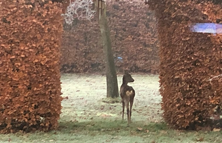 Natuurhuisje in Empe