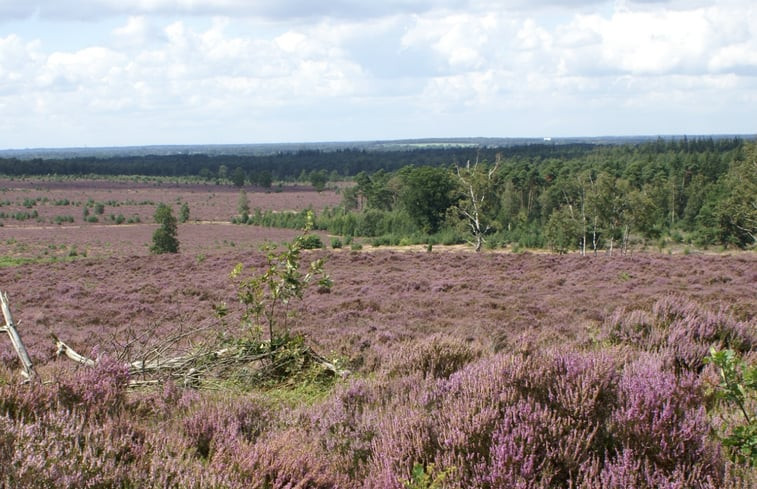 Natuurhuisje in Holten