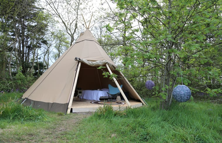 Natuurhuisje in Den Hoorn