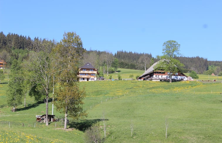 Natuurhuisje in Hinterzarten