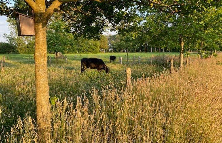 Natuurhuisje in Holtheme