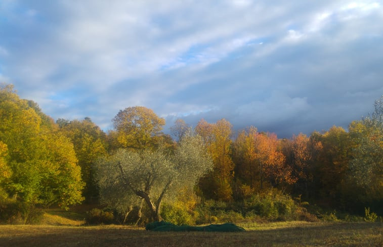 Natuurhuisje in Santa Fiora