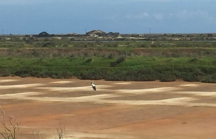 Natuurhuisje in Quatrim do Sul, Moncarapacho