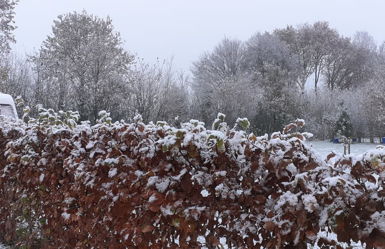 Natuurhuisje in Eeserveen